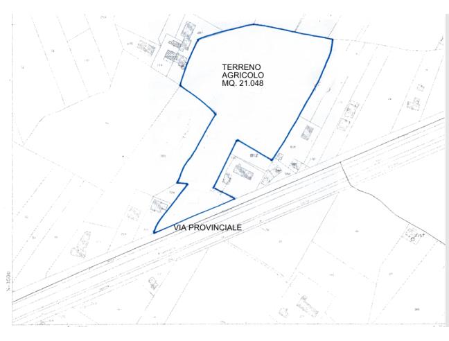 Anteprima foto 2 - Terreno Agricolo/Coltura in Vendita a Piove di Sacco (Padova)