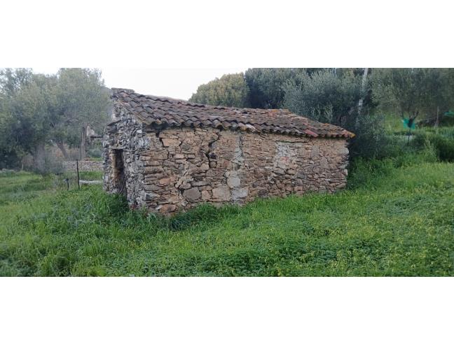 Anteprima foto 3 - Terreno Agricolo/Coltura in Vendita a Pisciotta - Caprioli