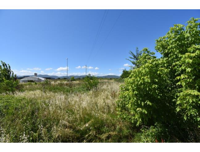 Anteprima foto 3 - Terreno Agricolo/Coltura in Vendita a Pistoia (Pistoia)