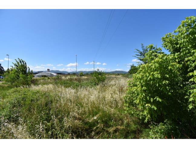 Anteprima foto 4 - Terreno Agricolo/Coltura in Vendita a Pistoia (Pistoia)