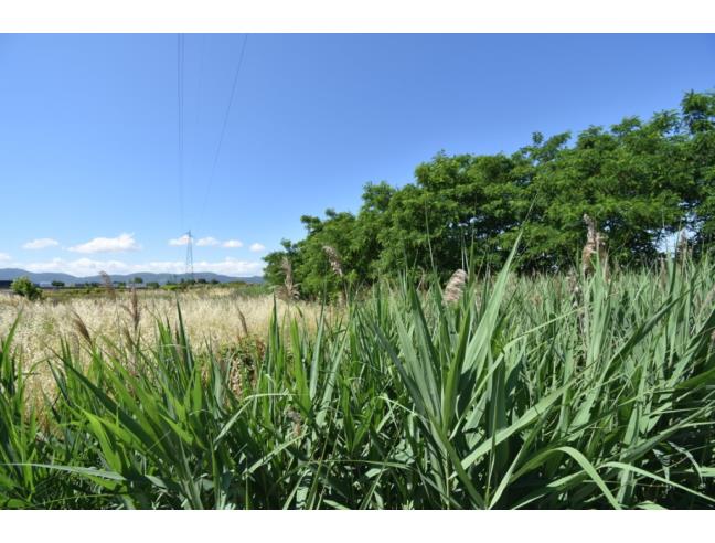 Anteprima foto 5 - Terreno Agricolo/Coltura in Vendita a Pistoia (Pistoia)