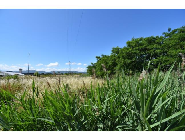 Anteprima foto 6 - Terreno Agricolo/Coltura in Vendita a Pistoia (Pistoia)
