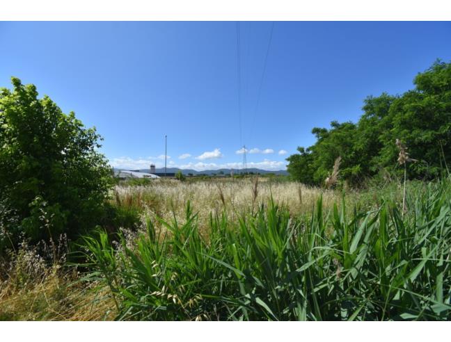 Anteprima foto 7 - Terreno Agricolo/Coltura in Vendita a Pistoia (Pistoia)