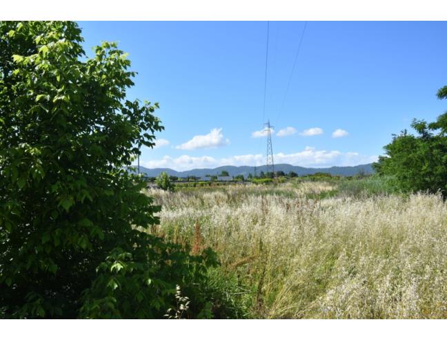 Anteprima foto 8 - Terreno Agricolo/Coltura in Vendita a Pistoia (Pistoia)