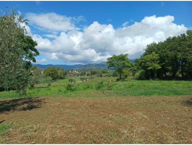 Anteprima foto 3 - Terreno Agricolo/Coltura in Vendita a Pistoia - Torbecchia