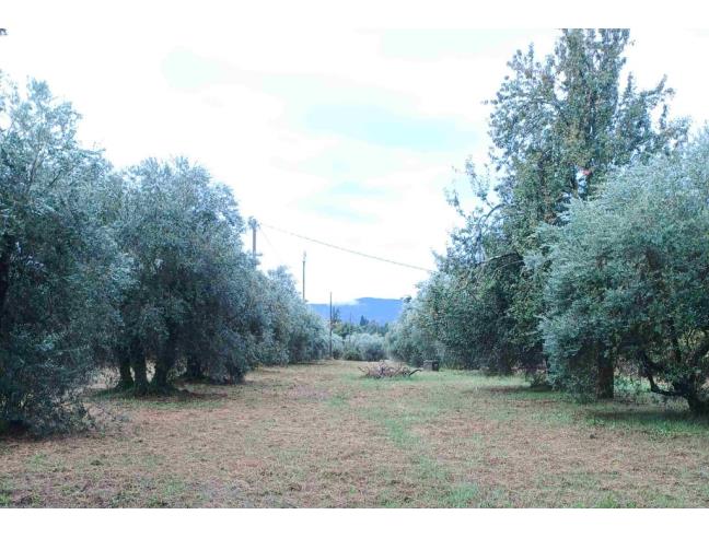 Anteprima foto 4 - Terreno Agricolo/Coltura in Vendita a Pistoia - Torbecchia