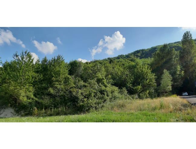 Anteprima foto 1 - Terreno Agricolo/Coltura in Vendita a Poggio San Vicino (Macerata)