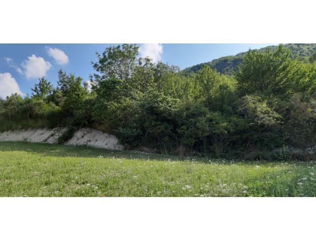 Anteprima foto 2 - Terreno Agricolo/Coltura in Vendita a Poggio San Vicino (Macerata)