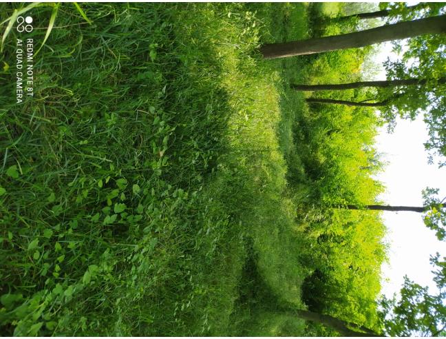 Anteprima foto 2 - Terreno Agricolo/Coltura in Vendita a Poncarale - Teatro