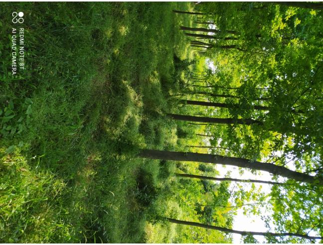 Anteprima foto 3 - Terreno Agricolo/Coltura in Vendita a Poncarale - Teatro