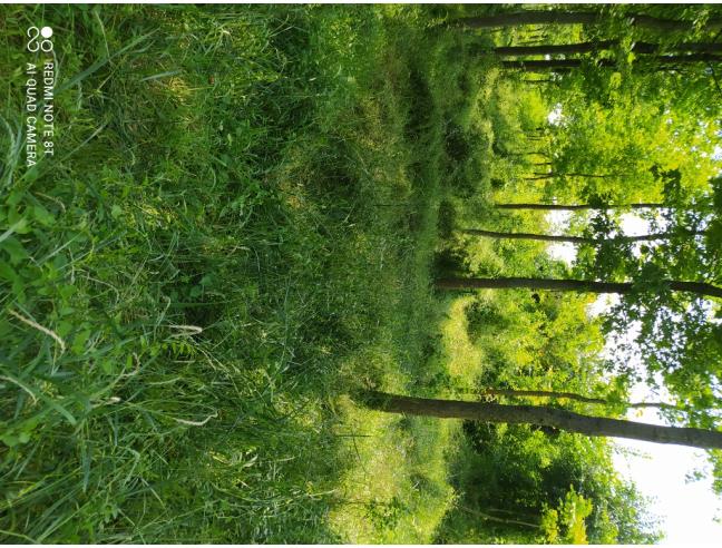 Anteprima foto 4 - Terreno Agricolo/Coltura in Vendita a Poncarale - Teatro