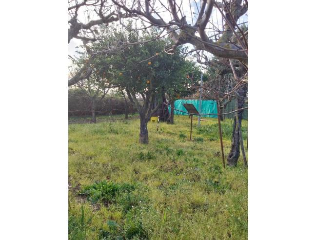 Anteprima foto 1 - Terreno Agricolo/Coltura in Vendita a Pontecagnano Faiano - Sant'Antonio A Picenza