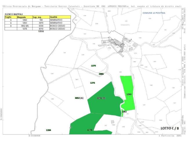 Anteprima foto 3 - Terreno Agricolo/Coltura in Vendita a Pontida (Bergamo)