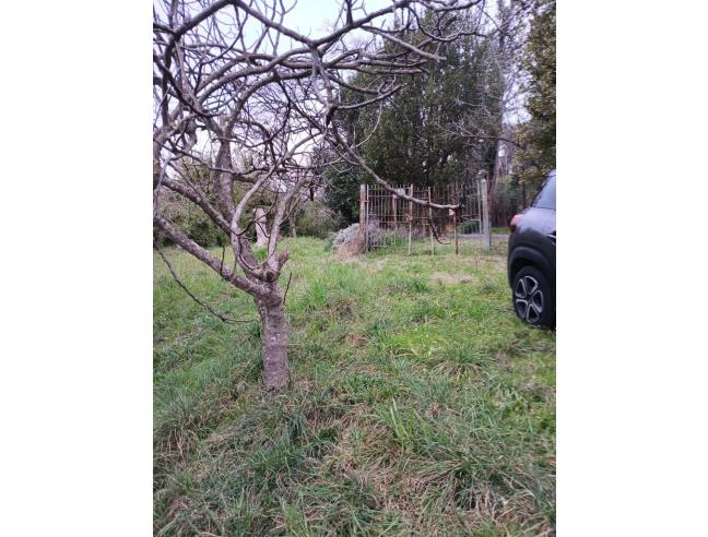 Anteprima foto 2 - Terreno Agricolo/Coltura in Vendita a Ponzano Romano (Roma)