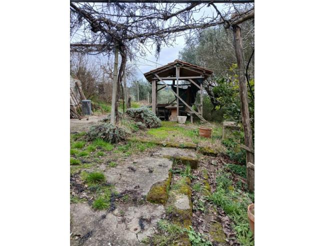 Anteprima foto 3 - Terreno Agricolo/Coltura in Vendita a Ponzano Romano (Roma)