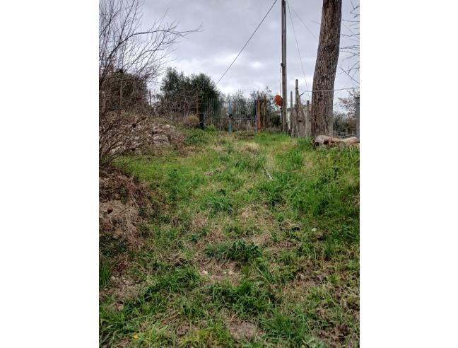 Anteprima foto 4 - Terreno Agricolo/Coltura in Vendita a Ponzano Romano (Roma)