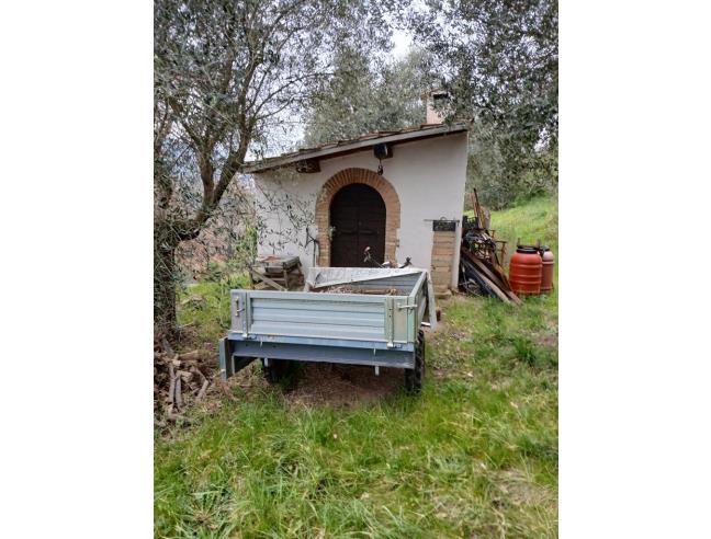 Anteprima foto 5 - Terreno Agricolo/Coltura in Vendita a Ponzano Romano (Roma)