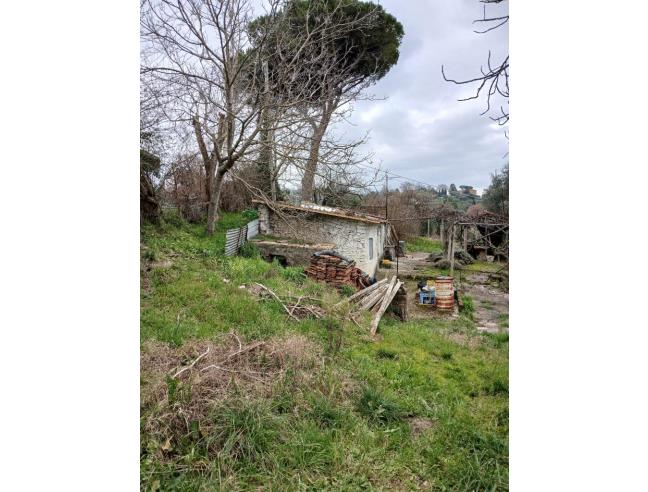Anteprima foto 6 - Terreno Agricolo/Coltura in Vendita a Ponzano Romano (Roma)