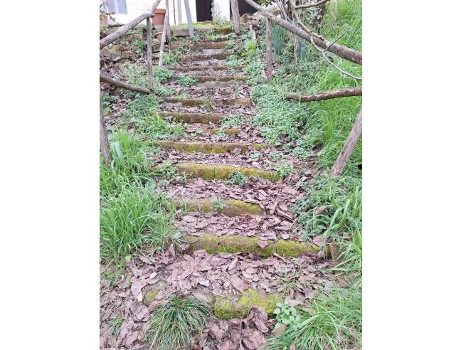 Anteprima foto 7 - Terreno Agricolo/Coltura in Vendita a Ponzano Romano (Roma)