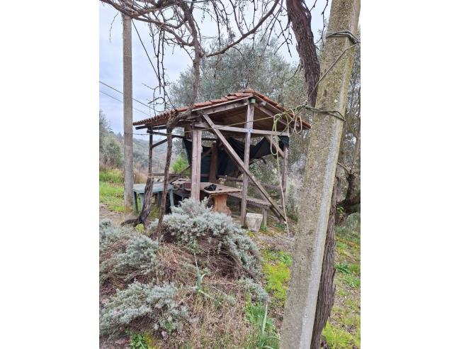 Anteprima foto 8 - Terreno Agricolo/Coltura in Vendita a Ponzano Romano (Roma)