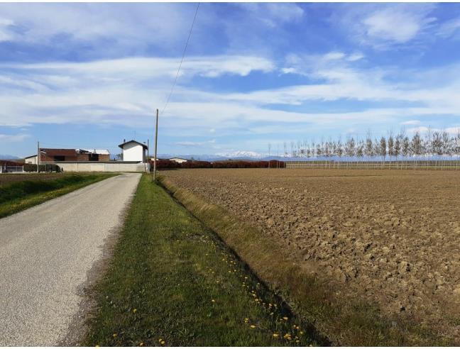 Anteprima foto 4 - Terreno Agricolo/Coltura in Vendita a Porpetto (Udine)