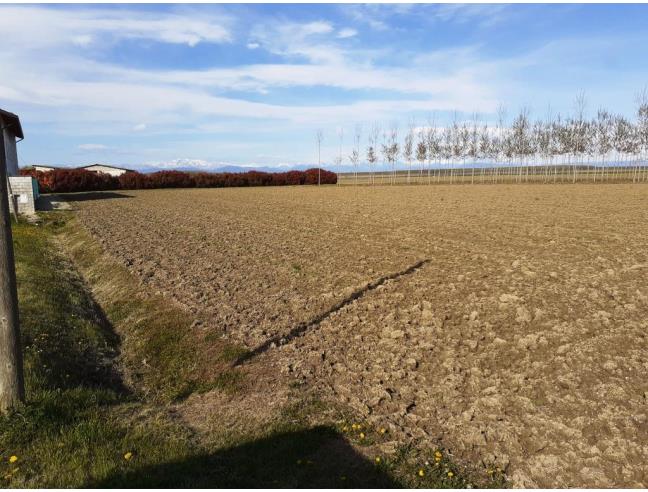 Anteprima foto 6 - Terreno Agricolo/Coltura in Vendita a Porpetto (Udine)