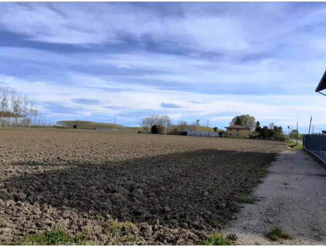 Anteprima foto 8 - Terreno Agricolo/Coltura in Vendita a Porpetto (Udine)