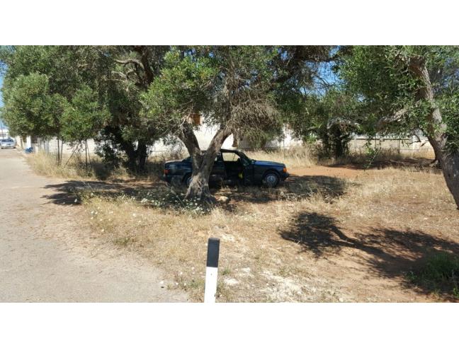 Anteprima foto 3 - Terreno Agricolo/Coltura in Vendita a Porto Cesareo (Lecce)