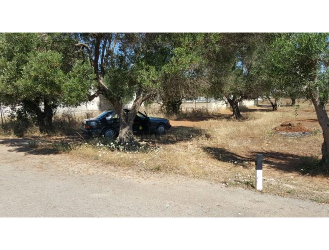 Anteprima foto 5 - Terreno Agricolo/Coltura in Vendita a Porto Cesareo (Lecce)
