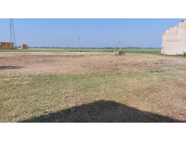 Anteprima foto 3 - Terreno Agricolo/Coltura in Vendita a Portomaggiore (Ferrara)