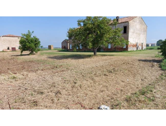 Anteprima foto 6 - Terreno Agricolo/Coltura in Vendita a Portomaggiore (Ferrara)
