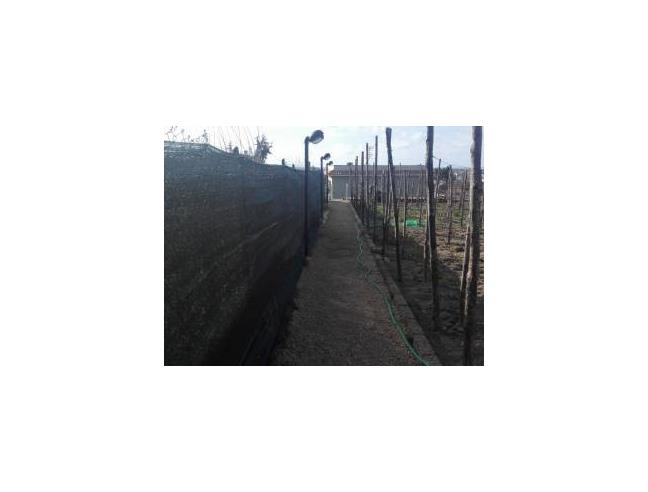 Anteprima foto 5 - Terreno Agricolo/Coltura in Vendita a Pozzuoli - Monterusciello