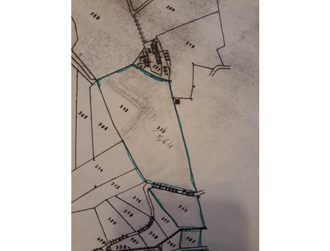 Anteprima foto 2 - Terreno Agricolo/Coltura in Vendita a Prasco (Alessandria)