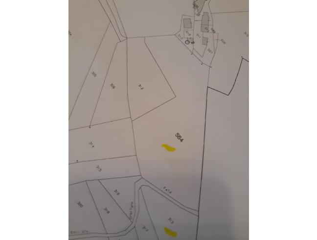 Anteprima foto 3 - Terreno Agricolo/Coltura in Vendita a Prasco (Alessandria)