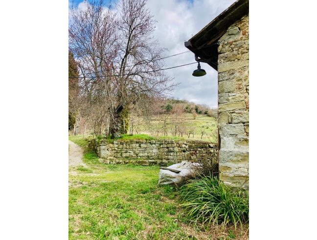 Anteprima foto 3 - Terreno Agricolo/Coltura in Vendita a Pratovecchio Stia (Arezzo)
