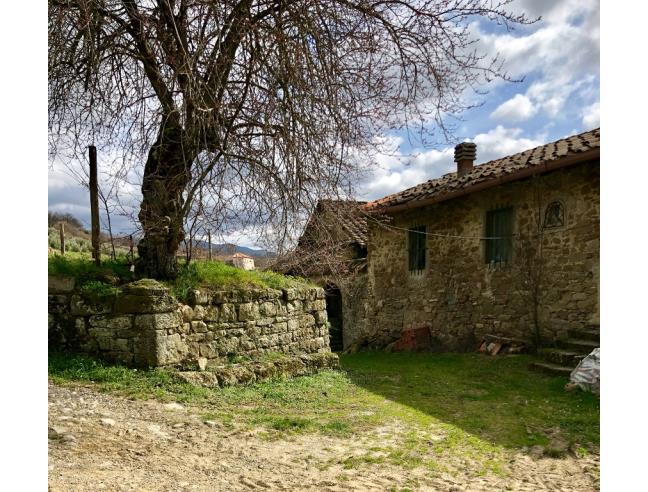 Anteprima foto 4 - Terreno Agricolo/Coltura in Vendita a Pratovecchio Stia (Arezzo)