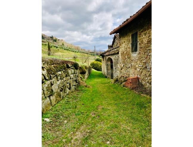 Anteprima foto 5 - Terreno Agricolo/Coltura in Vendita a Pratovecchio Stia (Arezzo)