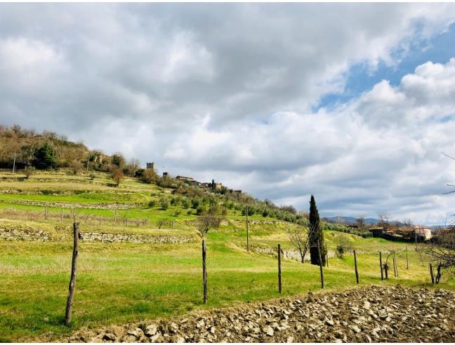 Anteprima foto 8 - Terreno Agricolo/Coltura in Vendita a Pratovecchio Stia (Arezzo)
