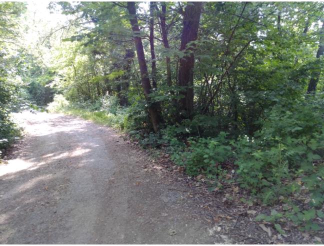 Anteprima foto 2 - Terreno Agricolo/Coltura in Vendita a Prignano sulla Secchia - Monteborazone