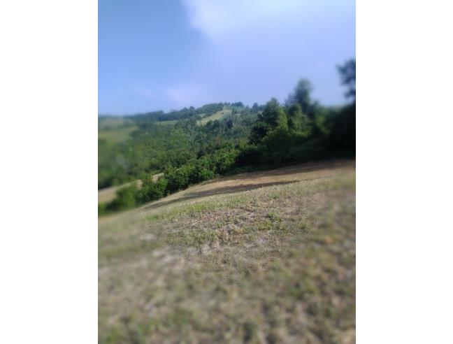 Anteprima foto 3 - Terreno Agricolo/Coltura in Vendita a Prignano sulla Secchia - Monteborazone