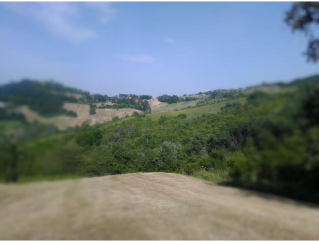 Anteprima foto 4 - Terreno Agricolo/Coltura in Vendita a Prignano sulla Secchia - Monteborazone