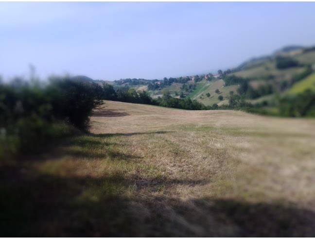 Anteprima foto 5 - Terreno Agricolo/Coltura in Vendita a Prignano sulla Secchia - Monteborazone