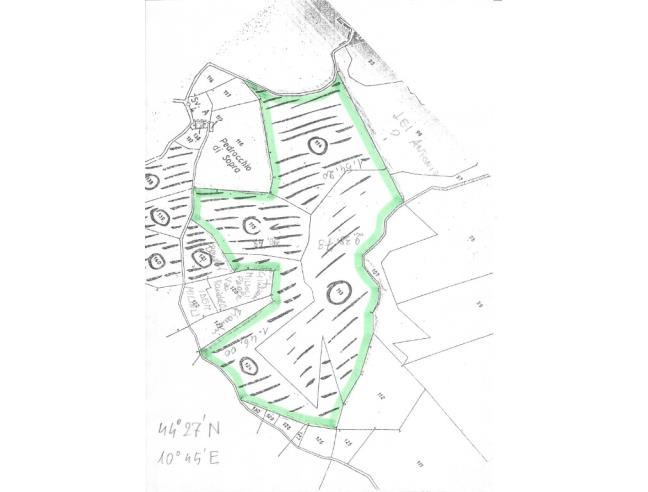 Anteprima foto 8 - Terreno Agricolo/Coltura in Vendita a Prignano sulla Secchia - Monteborazone
