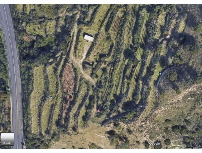 Anteprima foto 2 - Terreno Agricolo/Coltura in Vendita a Reggio Calabria - Archi