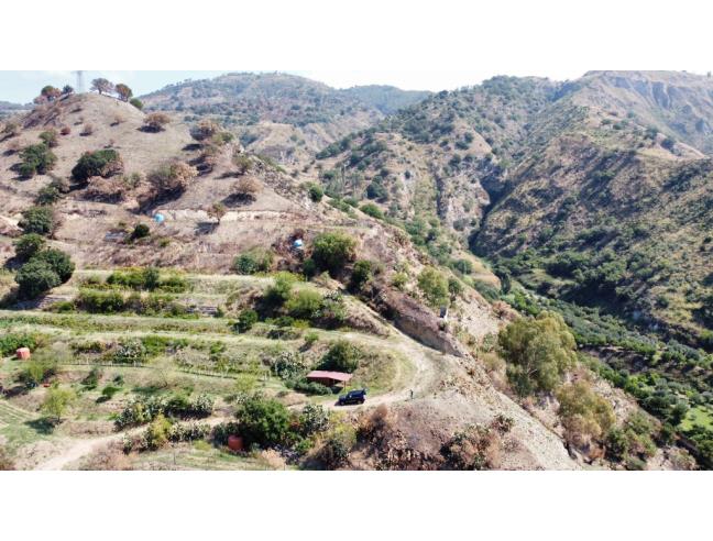 Anteprima foto 3 - Terreno Agricolo/Coltura in Vendita a Reggio Calabria - Archi