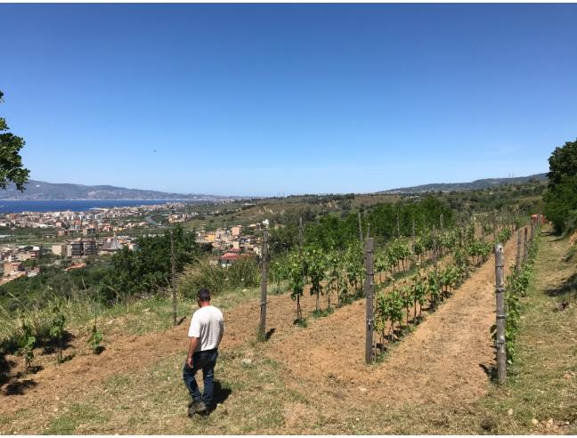 Anteprima foto 4 - Terreno Agricolo/Coltura in Vendita a Reggio Calabria - Archi