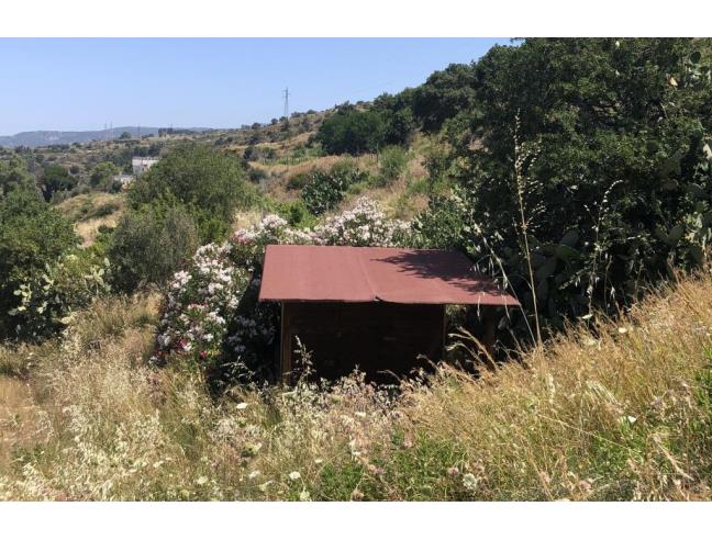 Anteprima foto 7 - Terreno Agricolo/Coltura in Vendita a Reggio Calabria - Archi