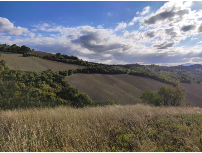 Anteprima foto 2 - Terreno Agricolo/Coltura in Vendita a Ripatransone - San Savino