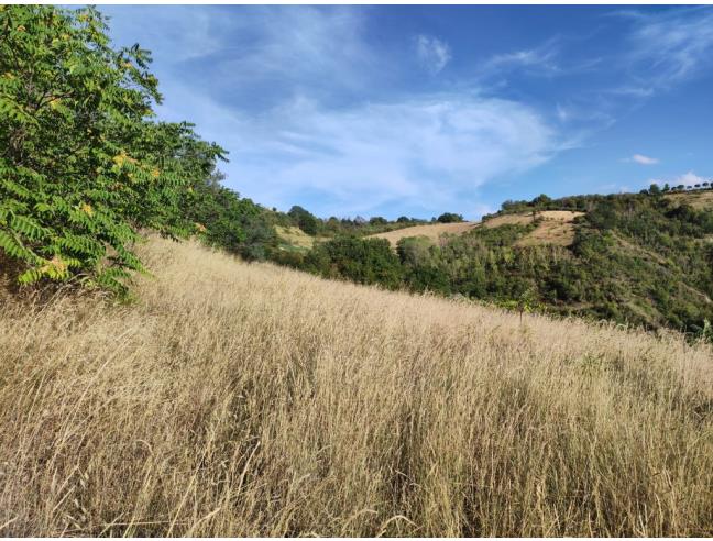 Anteprima foto 3 - Terreno Agricolo/Coltura in Vendita a Ripatransone - San Savino