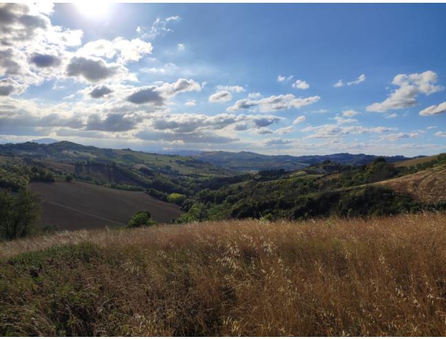 Anteprima foto 4 - Terreno Agricolo/Coltura in Vendita a Ripatransone - San Savino
